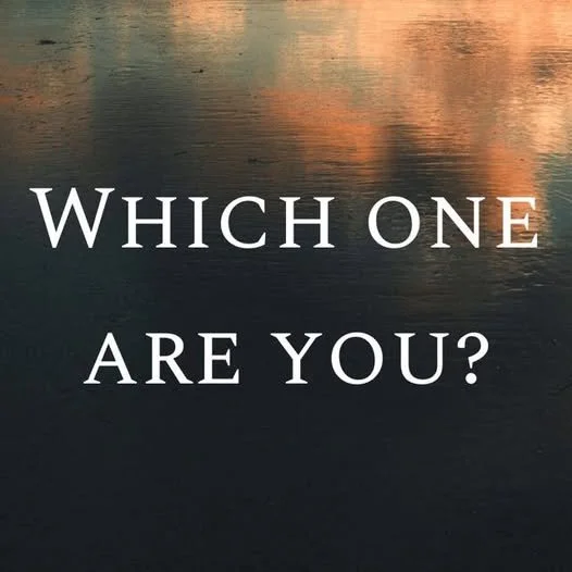 Which One Are You?