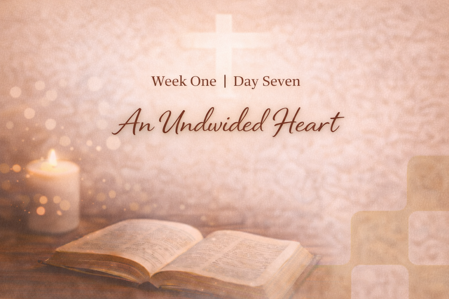 An Undivided Heart