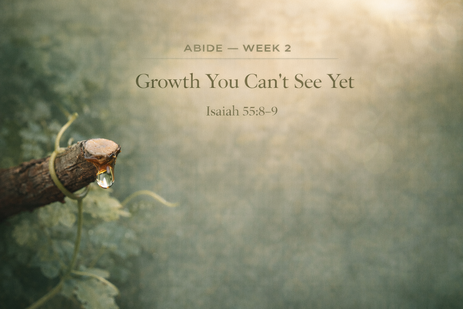 DAY 5 — Growth You Can’t See Yet