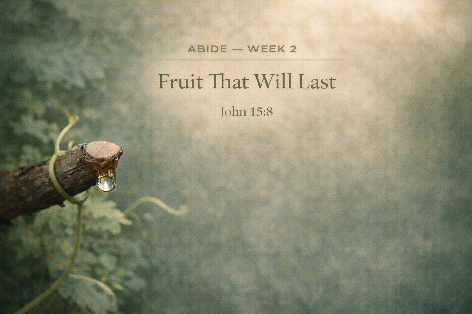 DAY 7 — Fruit That Will Last