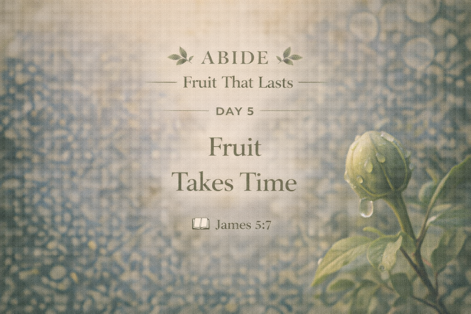 DAY 5 — Fruit Takes Time