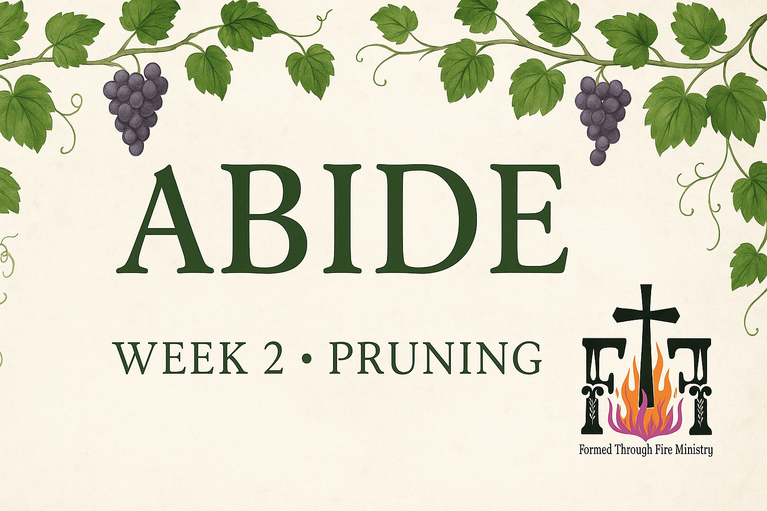 ABIDE: WEEK 2 | Pruning: When God Cuts Back to Grow Us