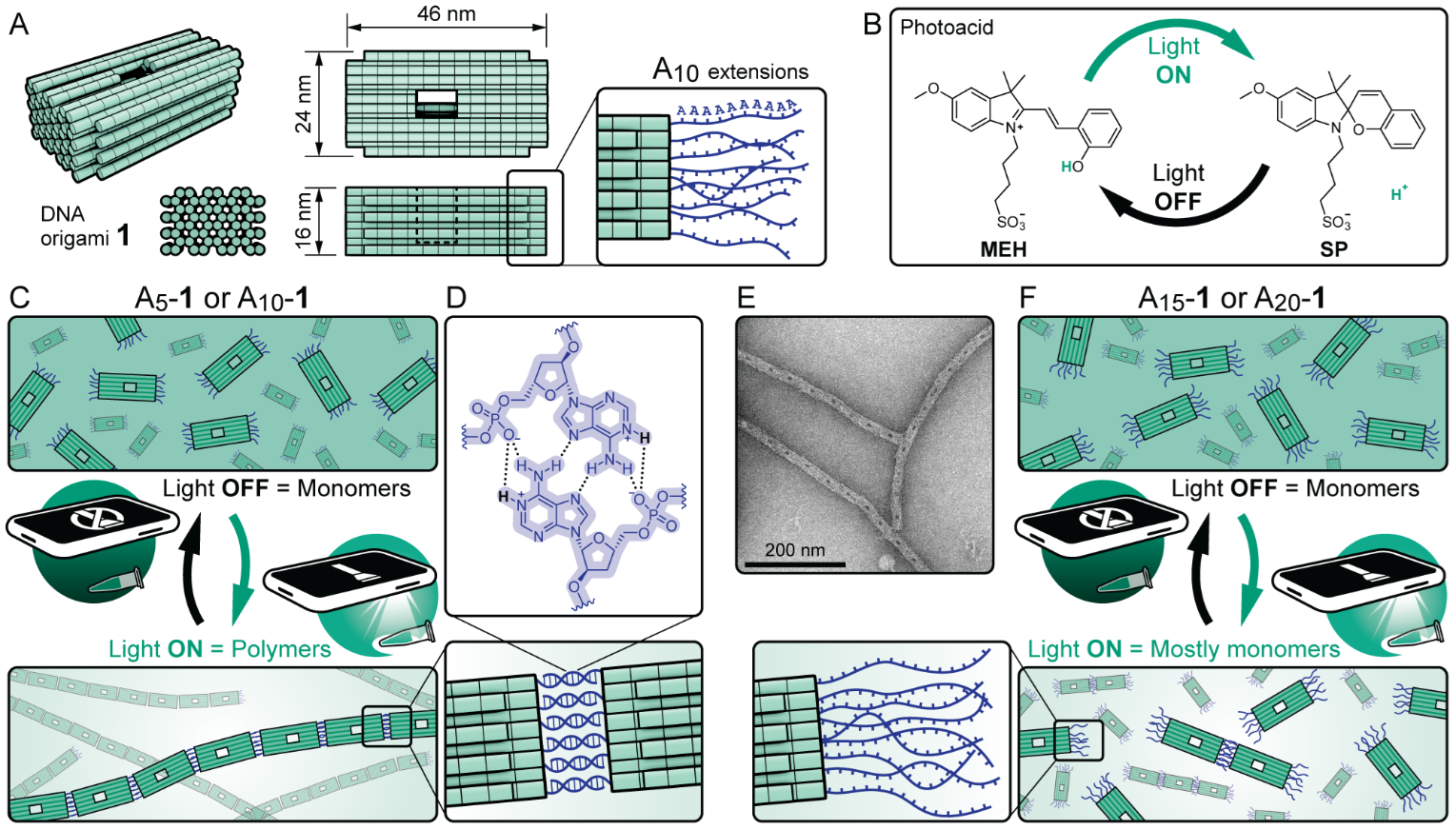Light-activated asssembly of DNA origami into dissipative fibrils