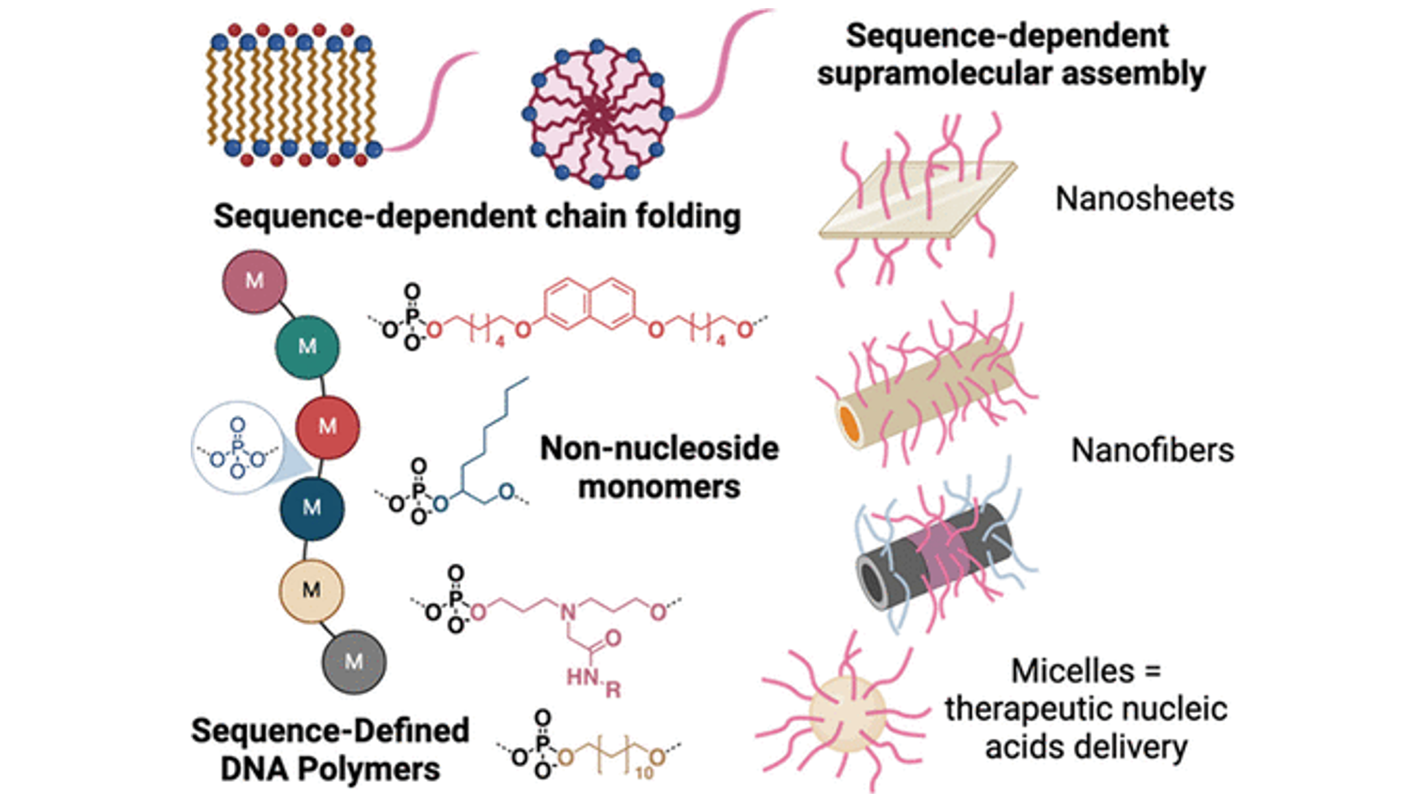 Sequence-defined DNA polymers: new tools for DNA nanotechnology and nucleic acid therapy