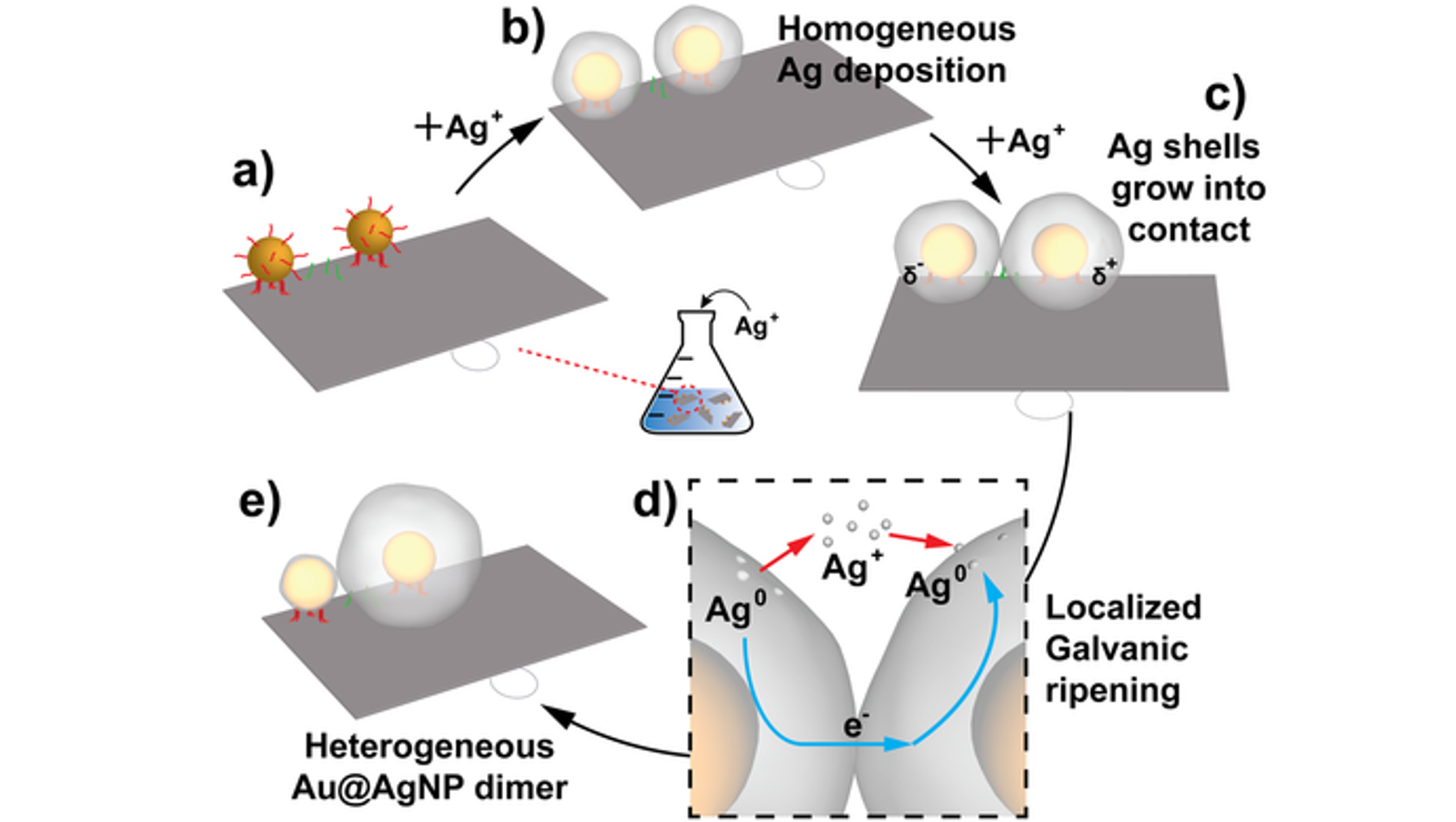 Programmed ripening of nanoparticles using a DNA template