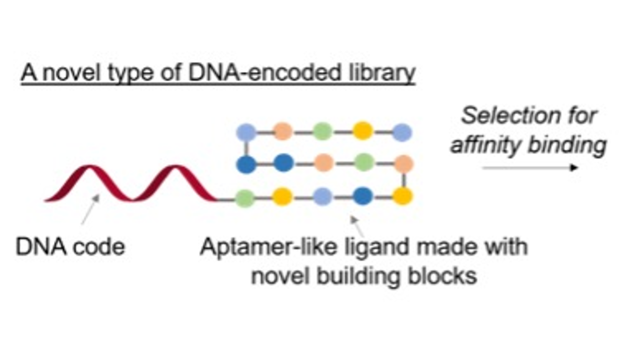 Orthogonal DNA barcodes enable the high-throughput screening of sequence-defined polymers