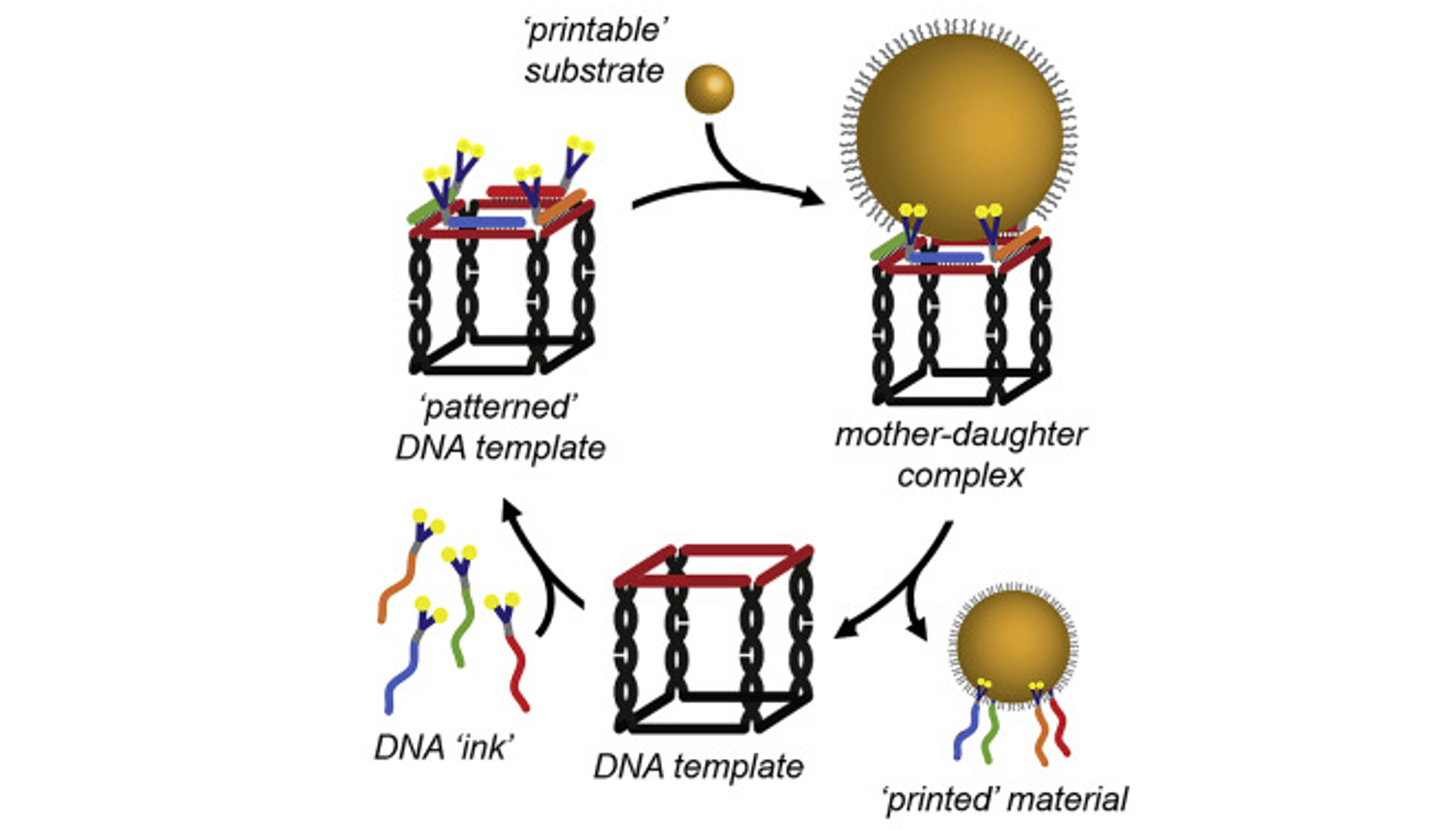 Molecular printing with DNA nanotechnology