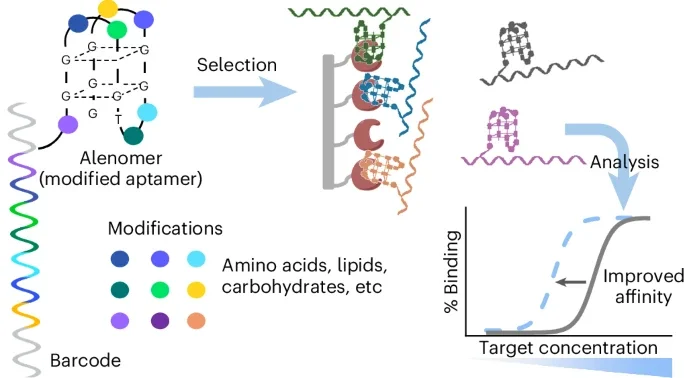 Unlocking chemical diversity in aptamers with DNA orthogonal barcodes
