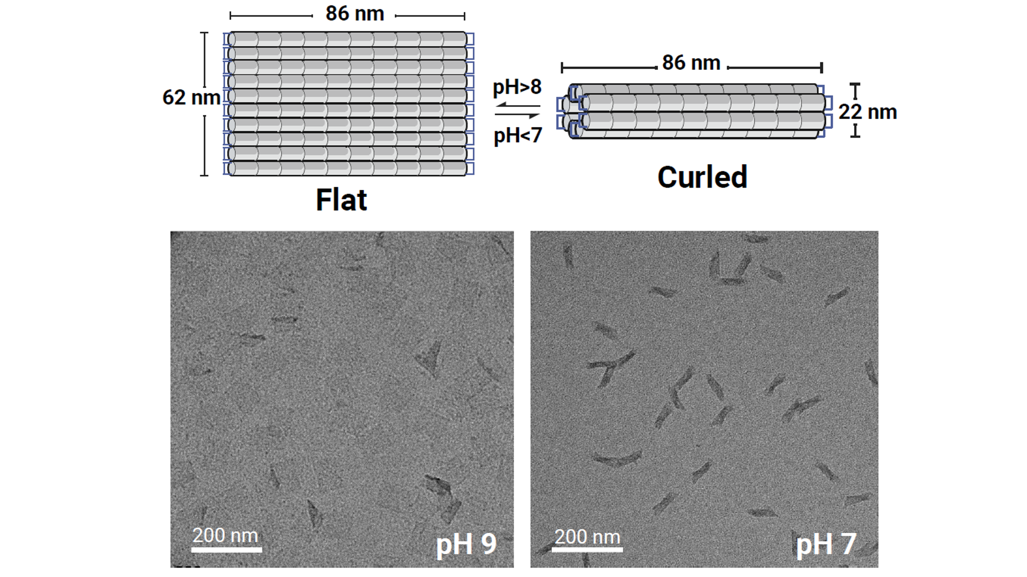 pH-Driven Actuation of Unmodified DNA Origami Rectangles
