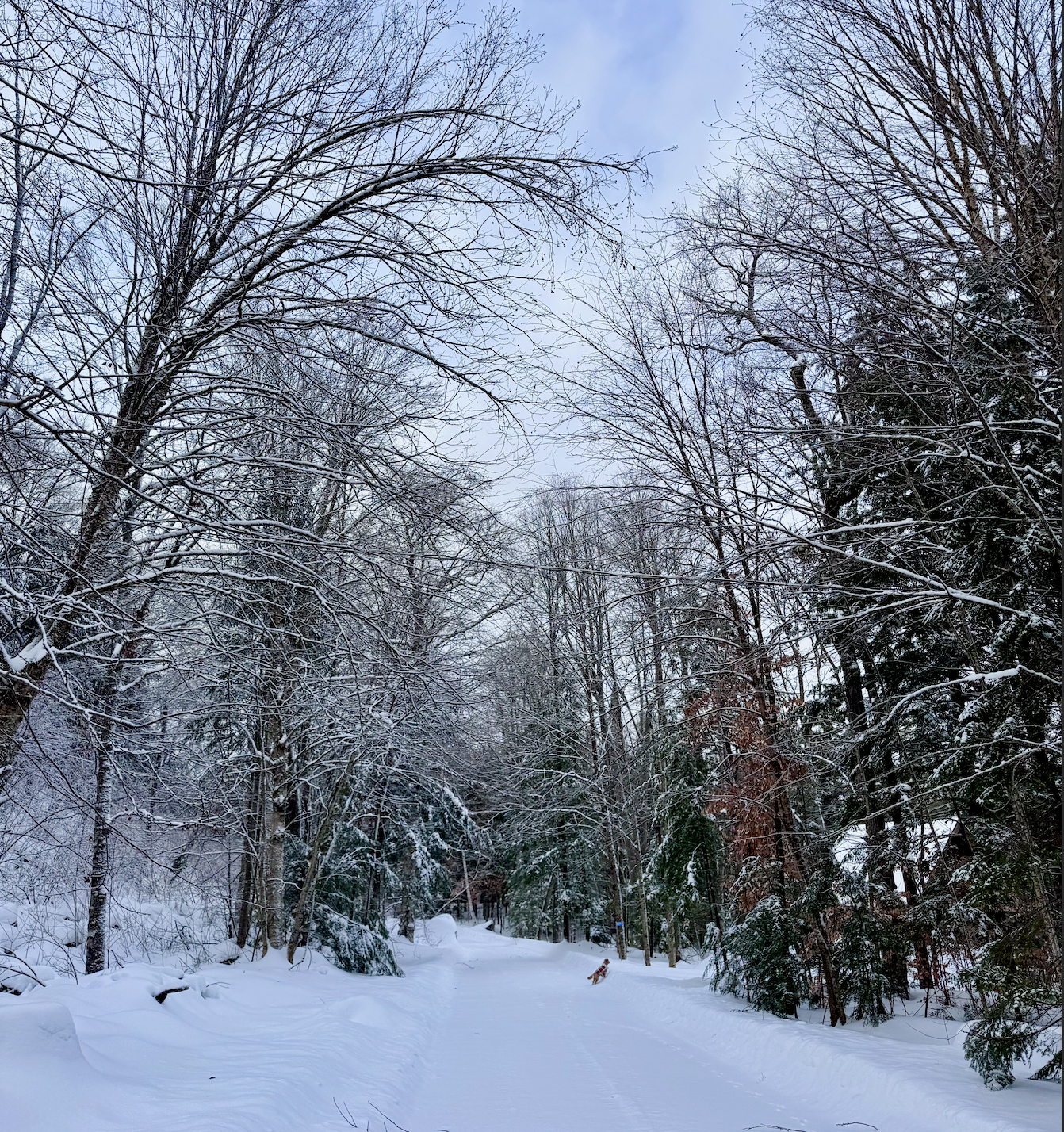 Navigating the “January Blues” Without Forcing New Year Resolutions