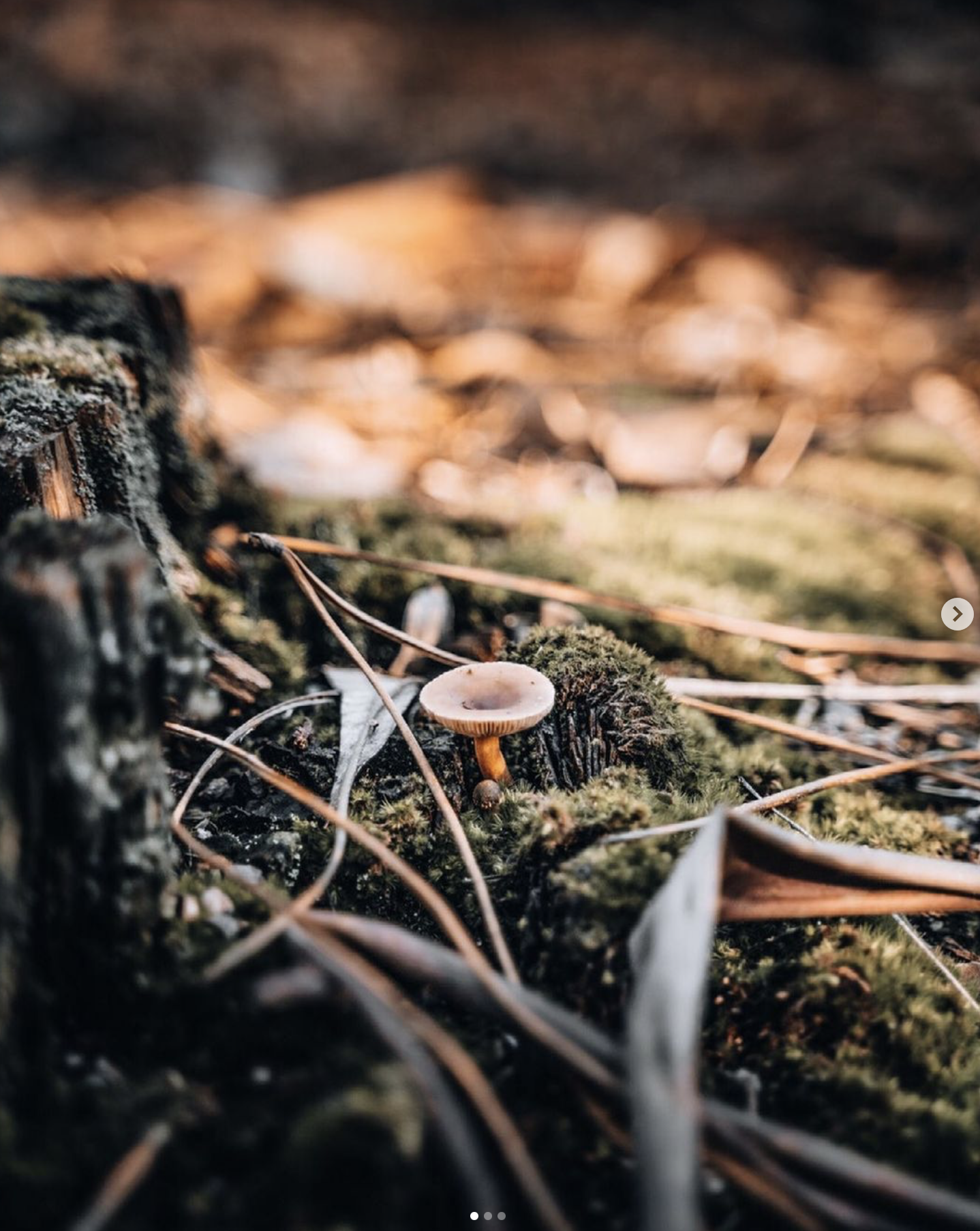 Captura de pantalla 2024-04-07 a las 9.52.10.png