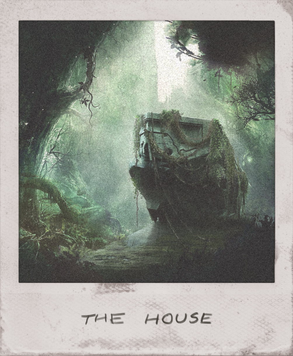 Polaroid of "The House"