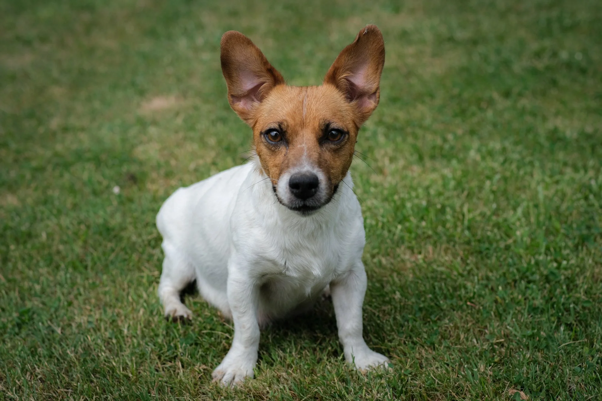 DSCF9758.jpg