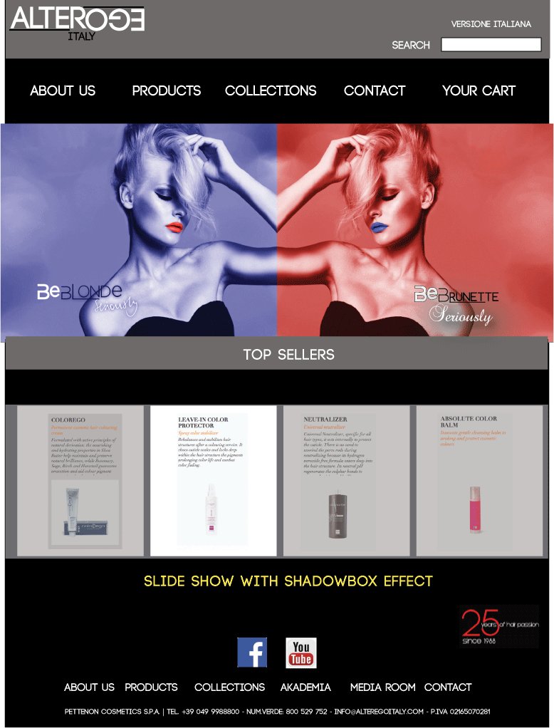 AlterEgo web design mockup.gif