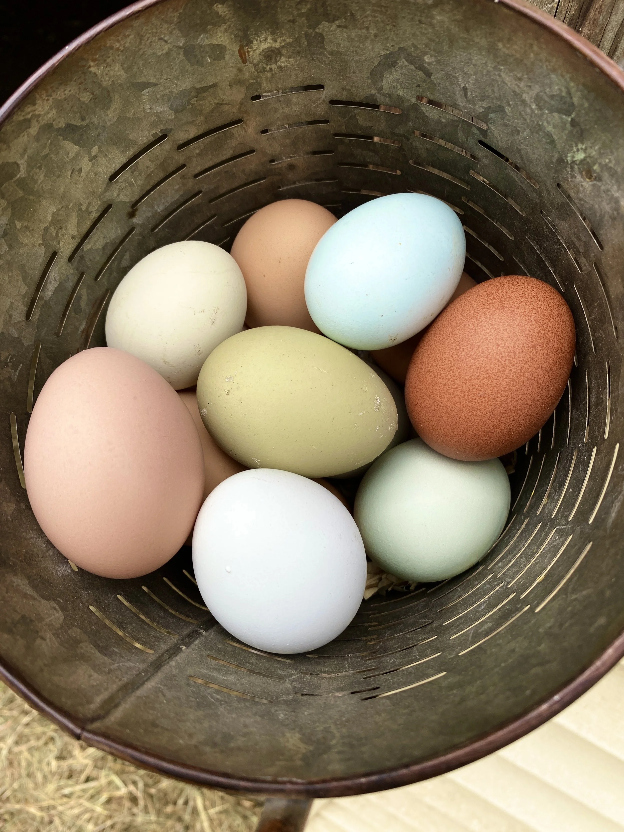 February 2026 Farmschool