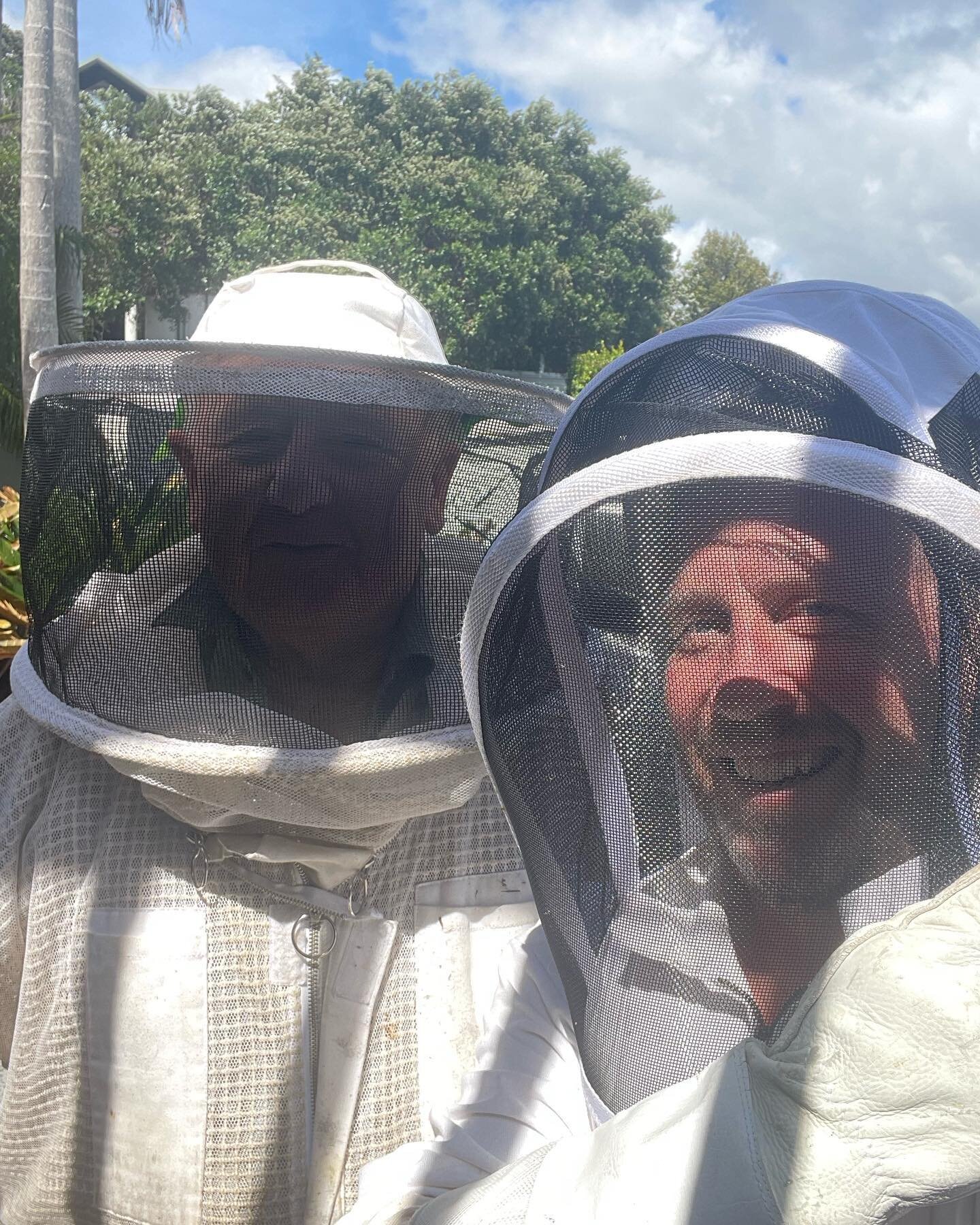 Although we dispatch wasp colonies en mass - our environmental policy is to save bees!! Here we are seen removing a massive and well established bee hive located within the floor of a residential house - the hive was extracted and the colony collecte