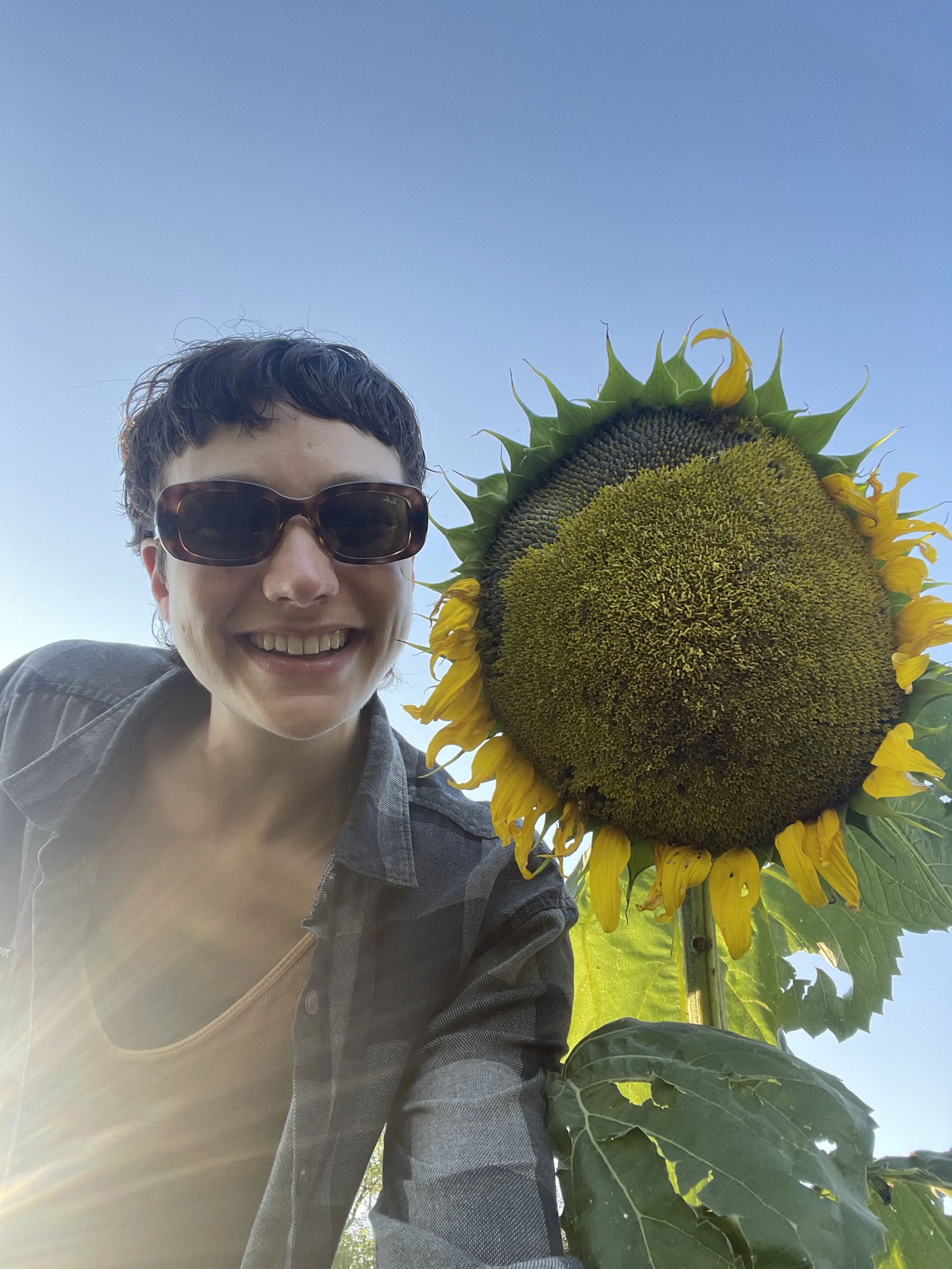 Root B | Root to Rise: A Yoga Series (4 Weeks)
