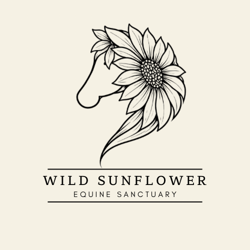 Wild Sunflower Equine Sanctuary