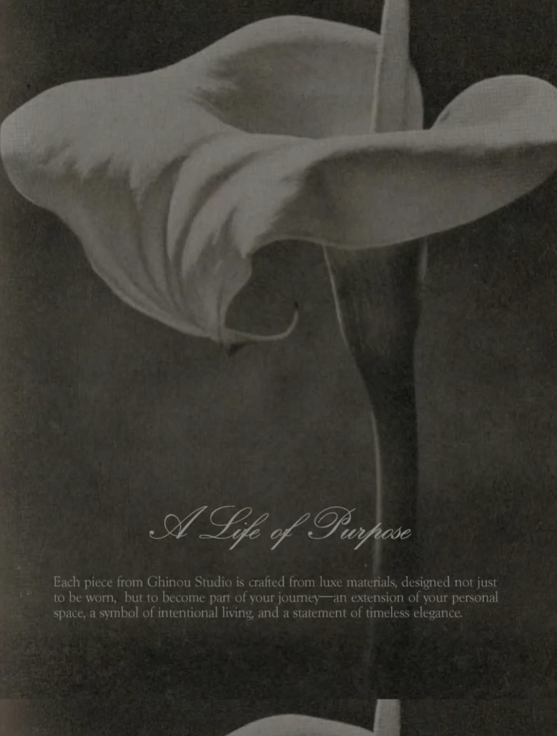 Screen Shot 2025-11-18 at 1.15.28 PM.png