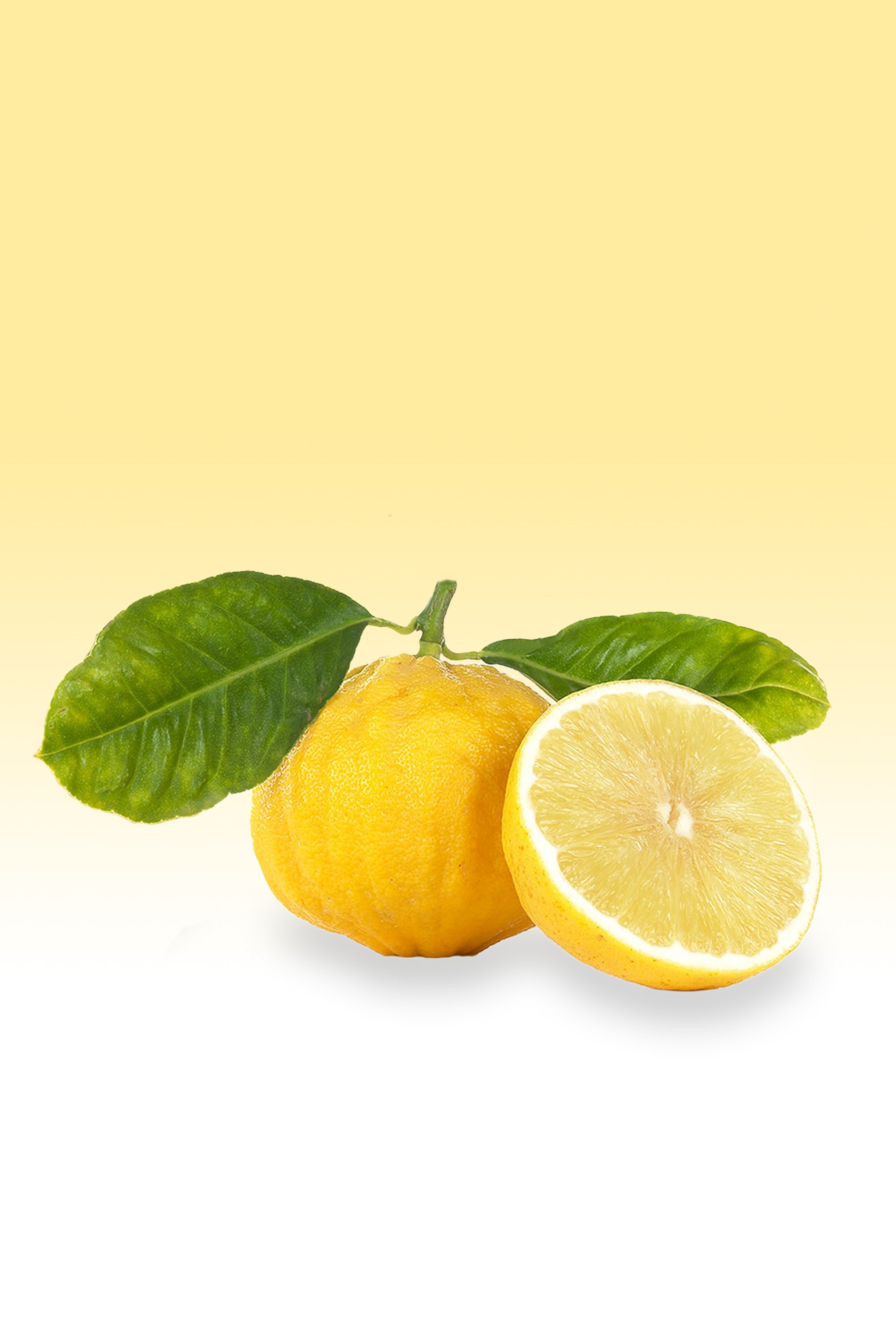 Bergamot Orange_Fruit.jpg