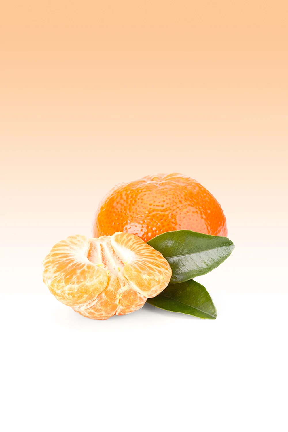ALEXIASTAM Elle Mandarin Orange （ALEXIA STAM）