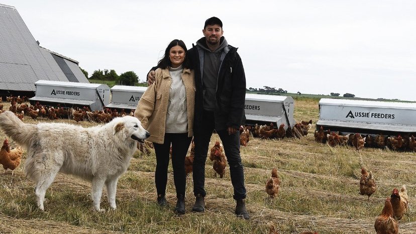 Harvester: Chooks at the Rooke & Xavier Prime, refusing the status quo