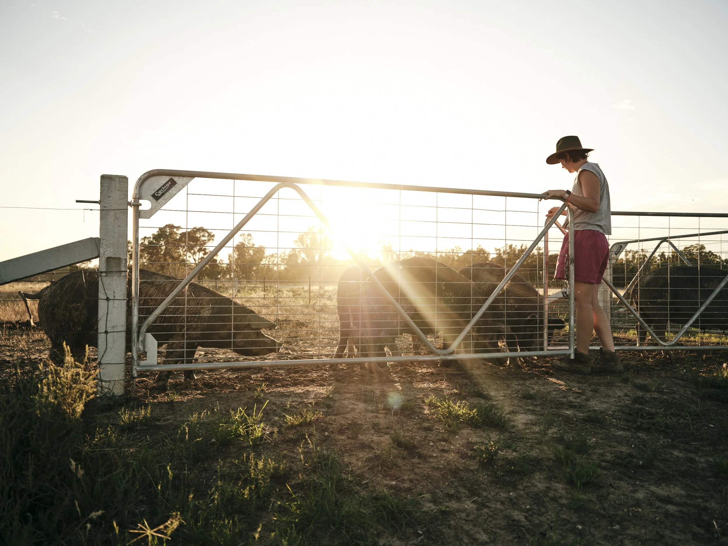 Farming for Good: Lauren Steven’s mission to normalise regenerative farming