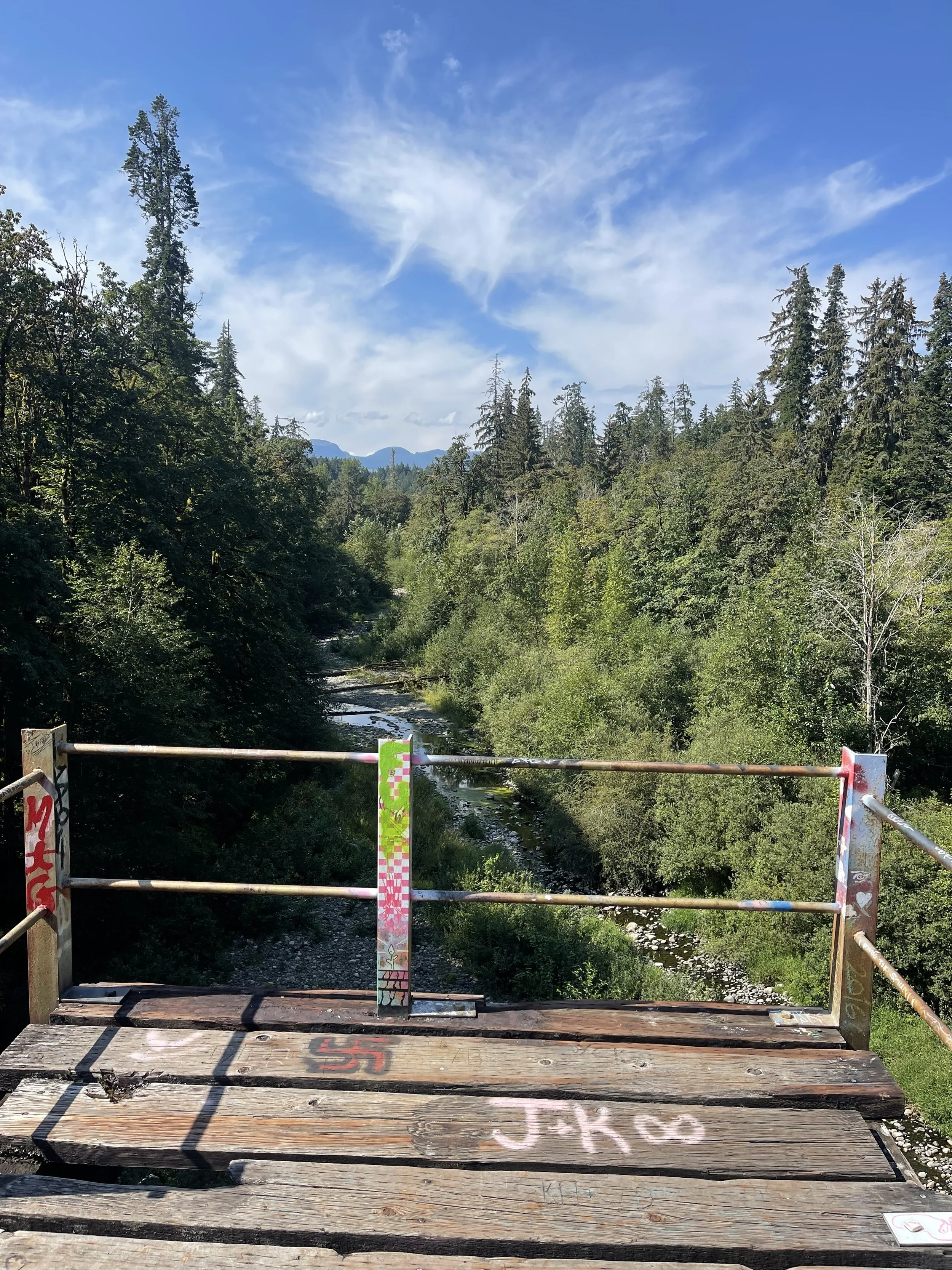 a standing platform halfway across the trestle, view of the Trent river below, Dylan Phillips photography