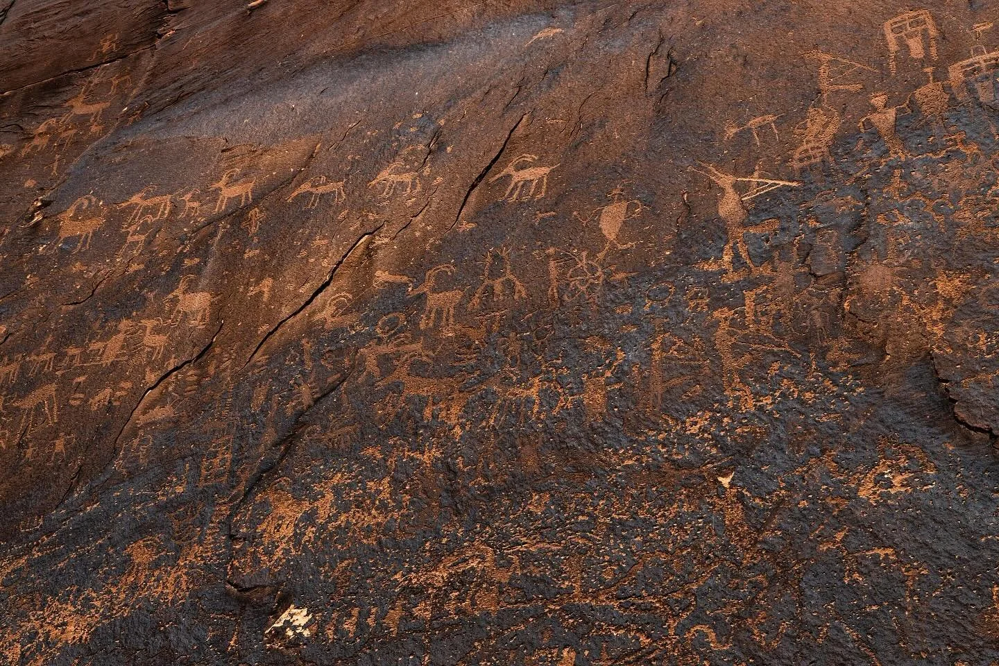 Sand Island petroglyphs, Bluff UT 
-
-
-
-
-
#SandIslandPetroglyphs #ExplorePetroglyphs #AncientArt #VisitUtah #UtahPetroglyphs #CulturalHeritage #SanJuanRiver #SacredLand #RockArt #HistoricPetroglyphs #UtahHistory #SouthwestArt #AncientStories #Disc