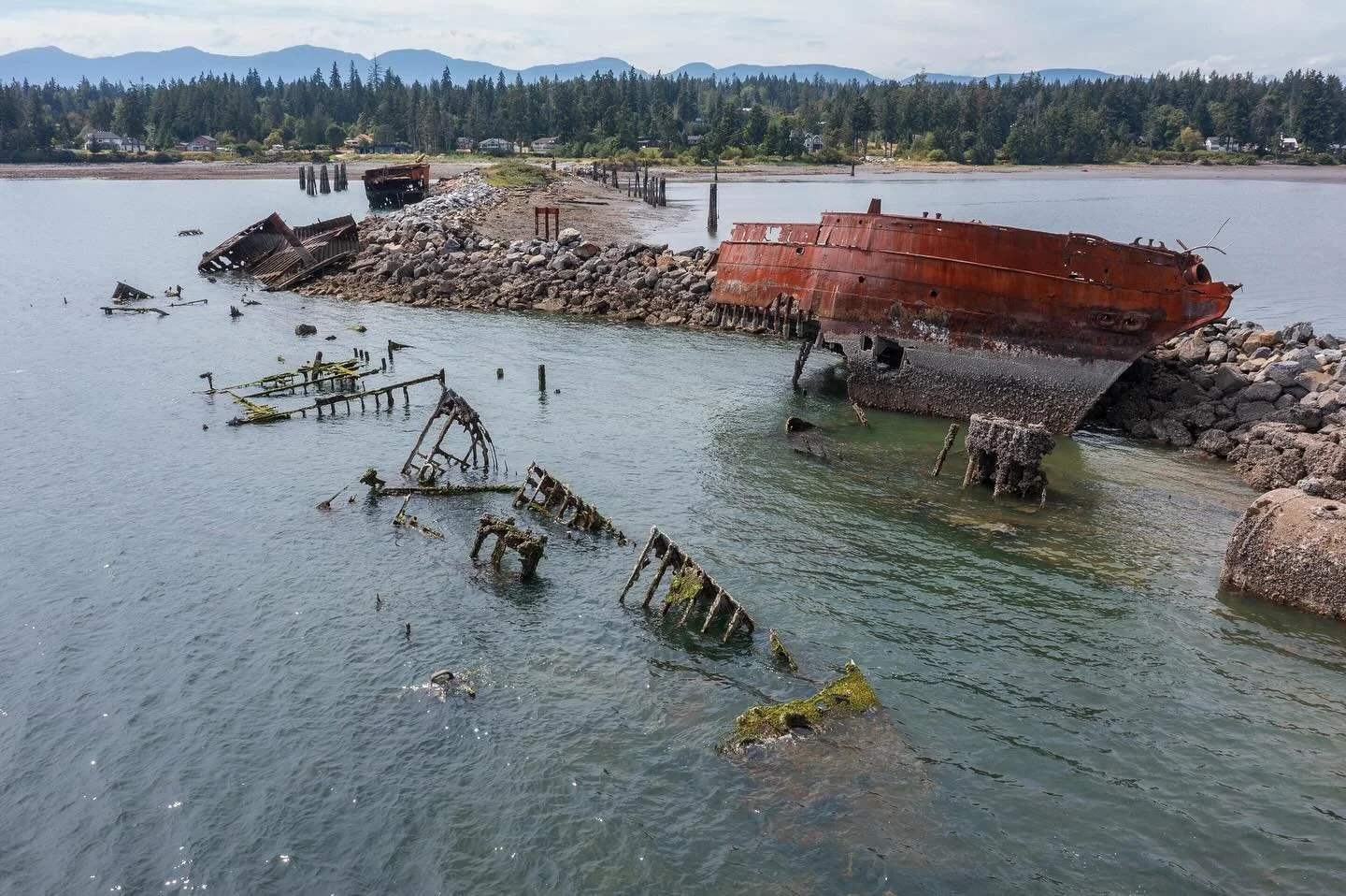Check out my latest blog post about the ghost ships of Royston

https://www.dylanphillipsphotography.com/my-blog/royston-wrecks
-
-
-
-
#RoystonWrecks #AbandonedVehicles #RusticBeauty #VancouverIsland #DiscoverBC #ForgottenPlaces #HistoricWrecks #shi