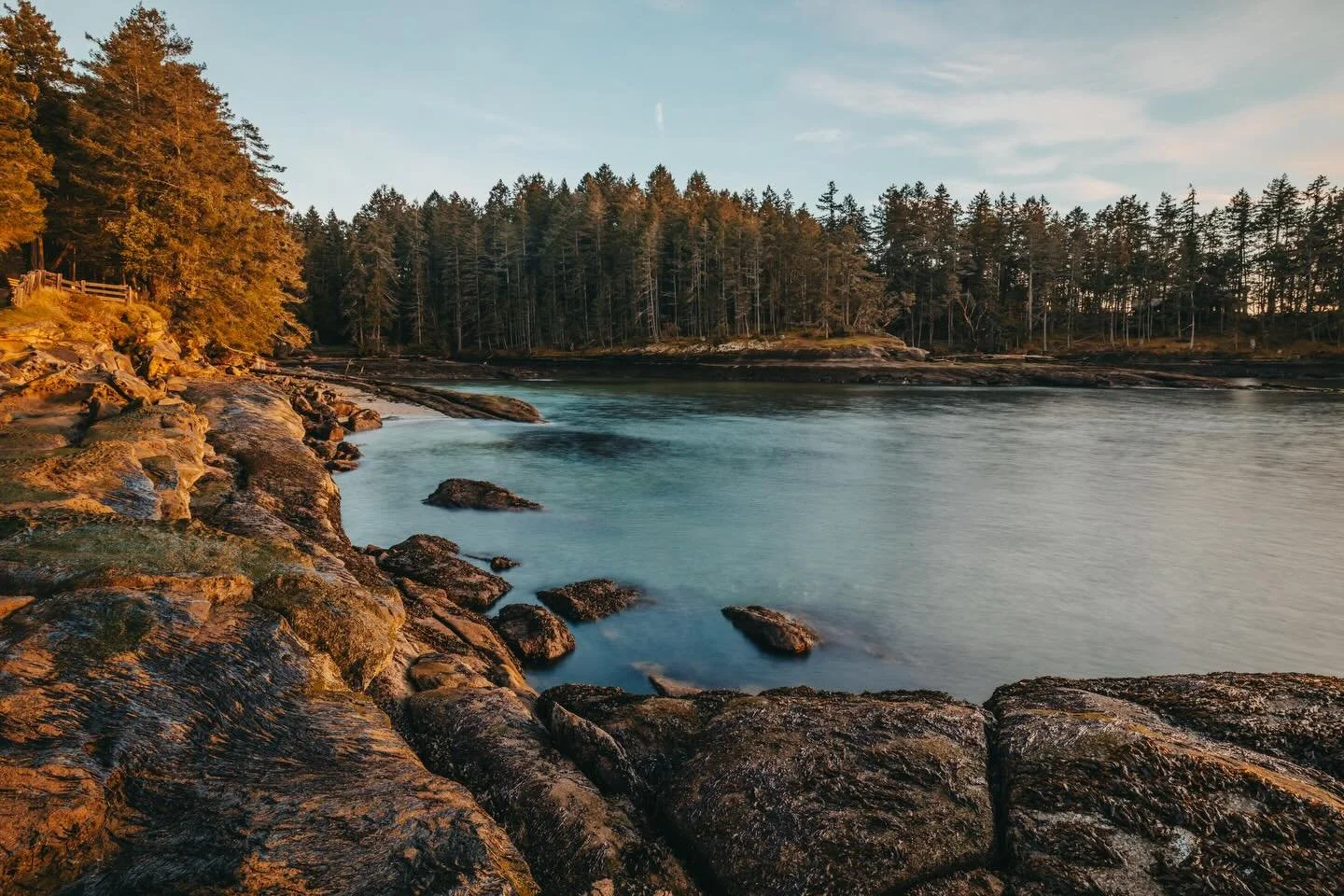 We&rsquo;re pretty deep into February and I feel like I&rsquo;m still operating in slow winter hibernation mode. I have to keep reminding myself that it&rsquo;s normal for the season. Anyone else? 

I&rsquo;ve stopped putting much emphasis on New Yea