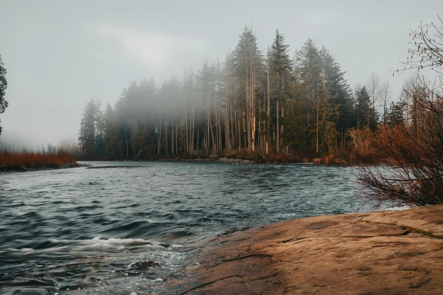 I&rsquo;ve been enjoying some time away from social media while I catch up on client work but I really wanted to share this shot with you guys! That fog the other morning was beautiful. I was up before dawn and watched the light start to poke through