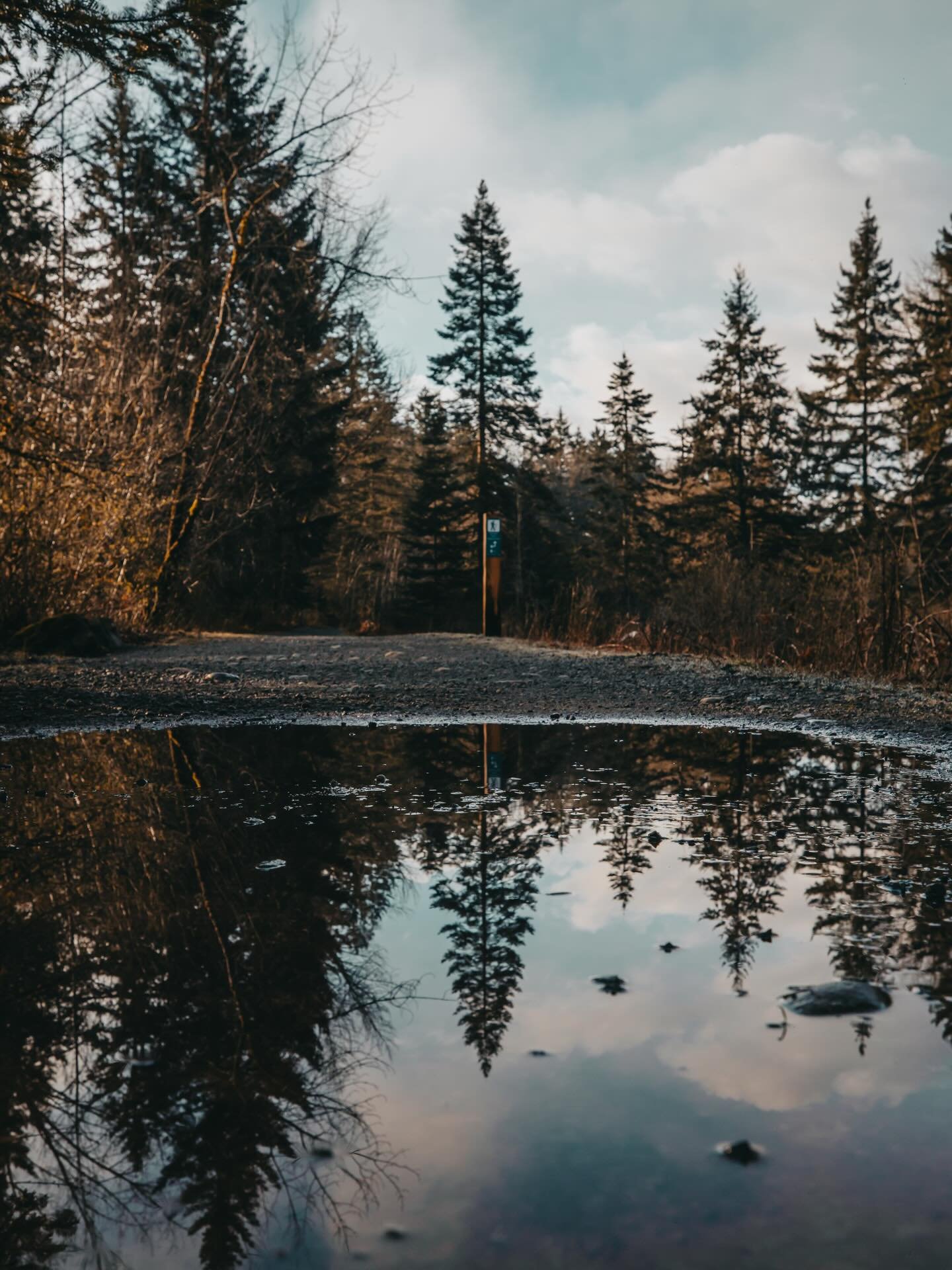 2025 was a year of reflection. I&rsquo;m speaking literally when I say that. I really experimented with reflections in my photography. I&rsquo;ve seemingly carried that habit into 2026 because I could not walk past this puddle without snapping a shot