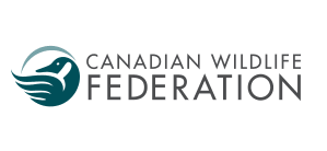 CWF Logo 2.png