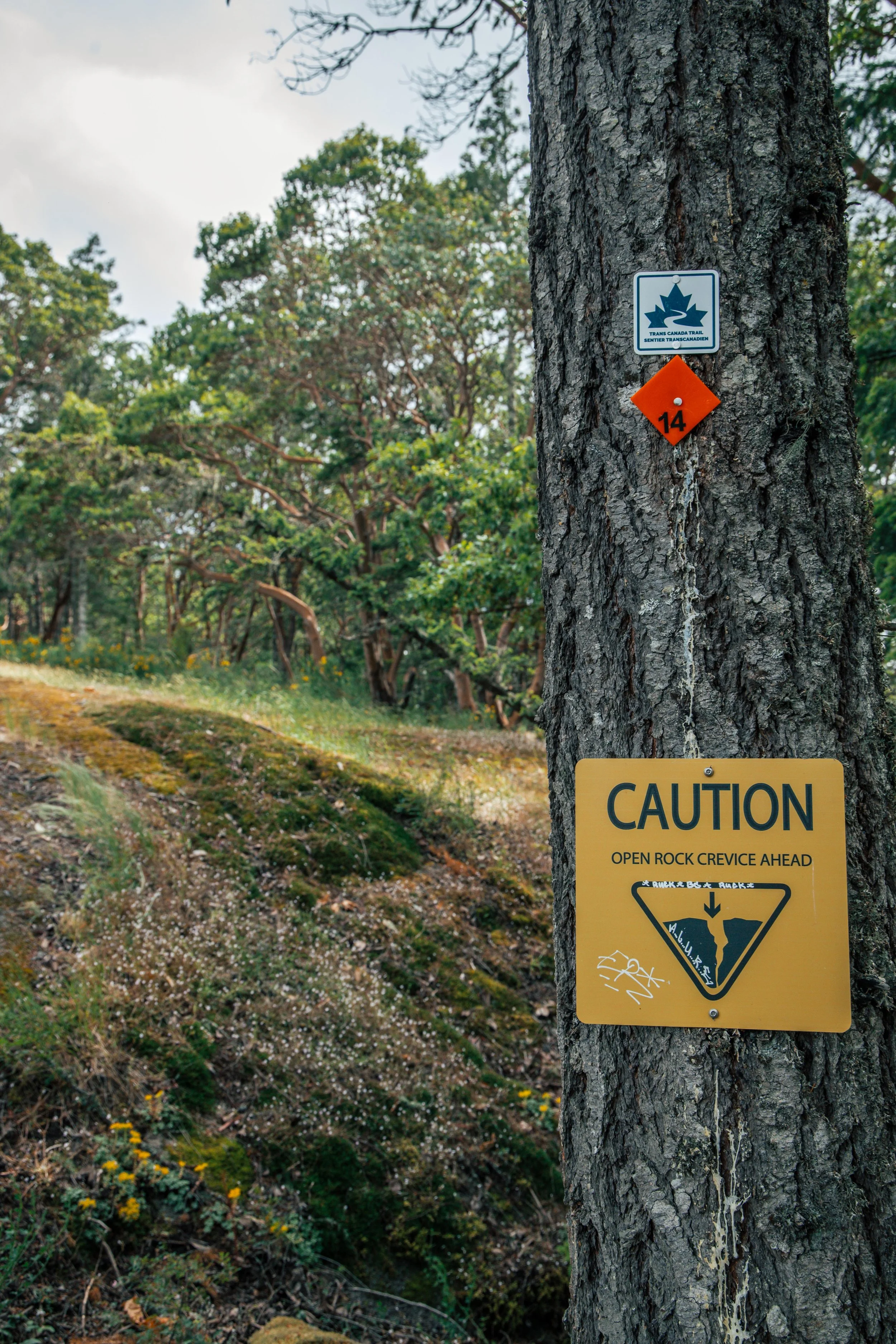 City warning signs posted near The Abyss in Nanaimo, BC, alerting hikers to hazards around the large ground crack and surrounding trail area.