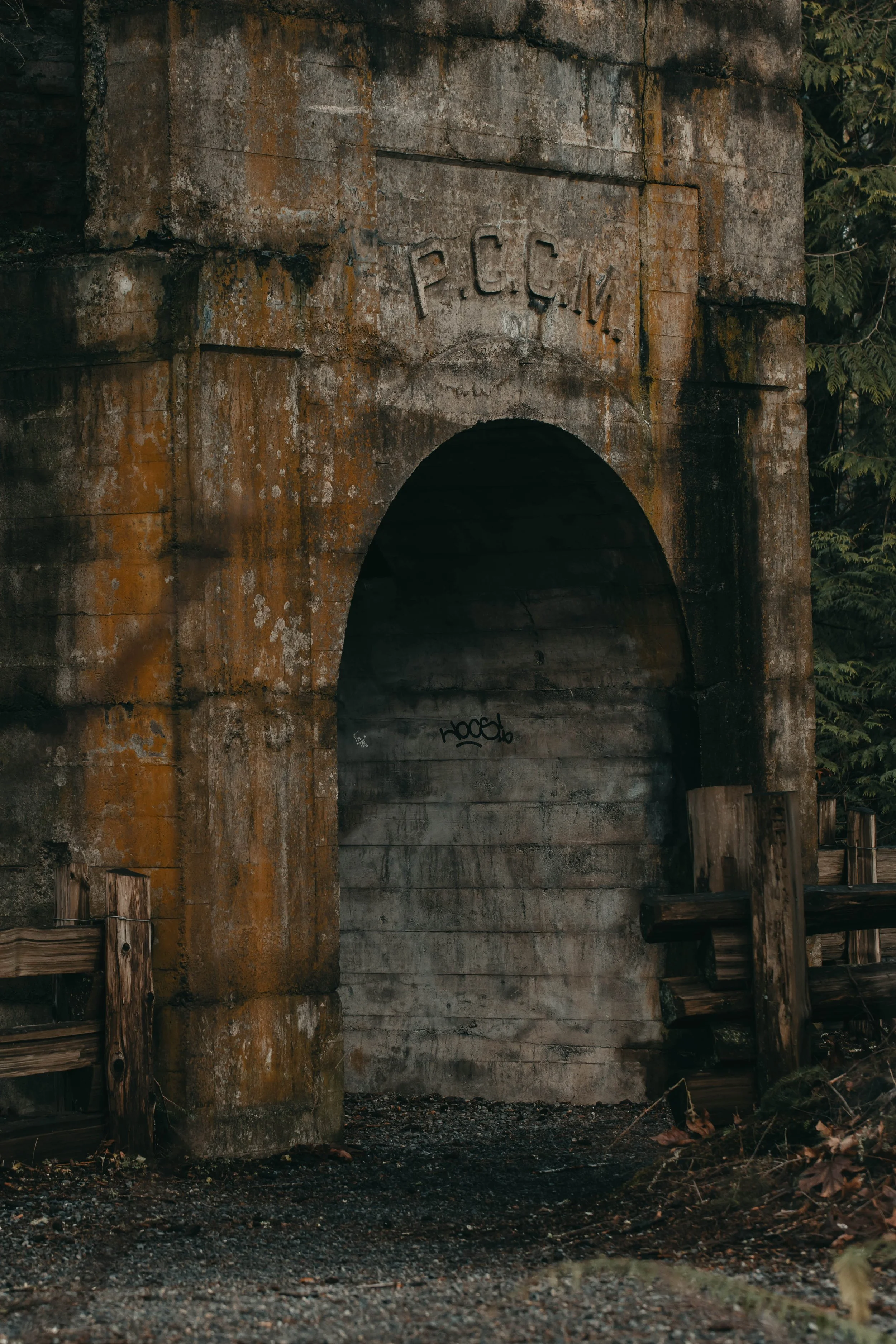 dark and moody concrete archway in a rainforest, the entrance to Morden Colliery boiler house, Vancouver Island BC