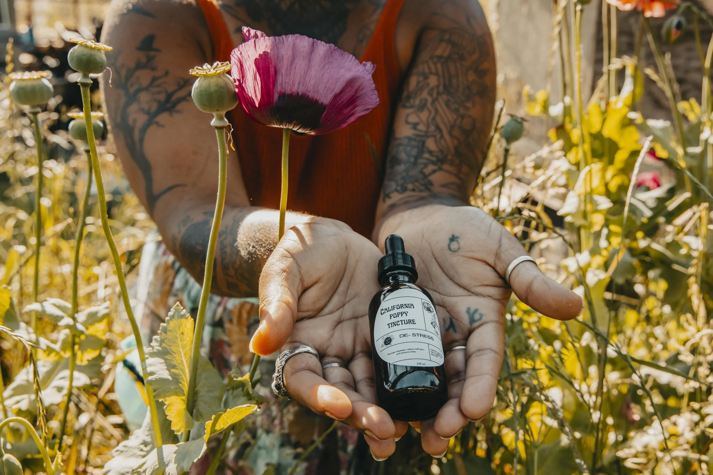A person with tattoos on their arms holds a small bottle labeled 'California Poppy Tincture' in a field of yellow flowers. The person is wearing rings and has a large pink poppy flower in front of their face, obscuring it from view. The background is filled with more yellow flowers and plants.