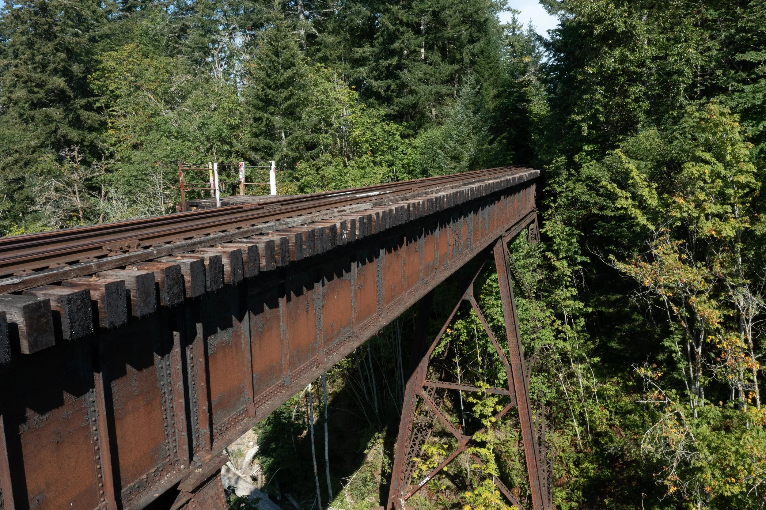 Aerial drone angle of the Trent river trestle - Comox BC - Photo by Vancouver island photographer Dylan Phillips