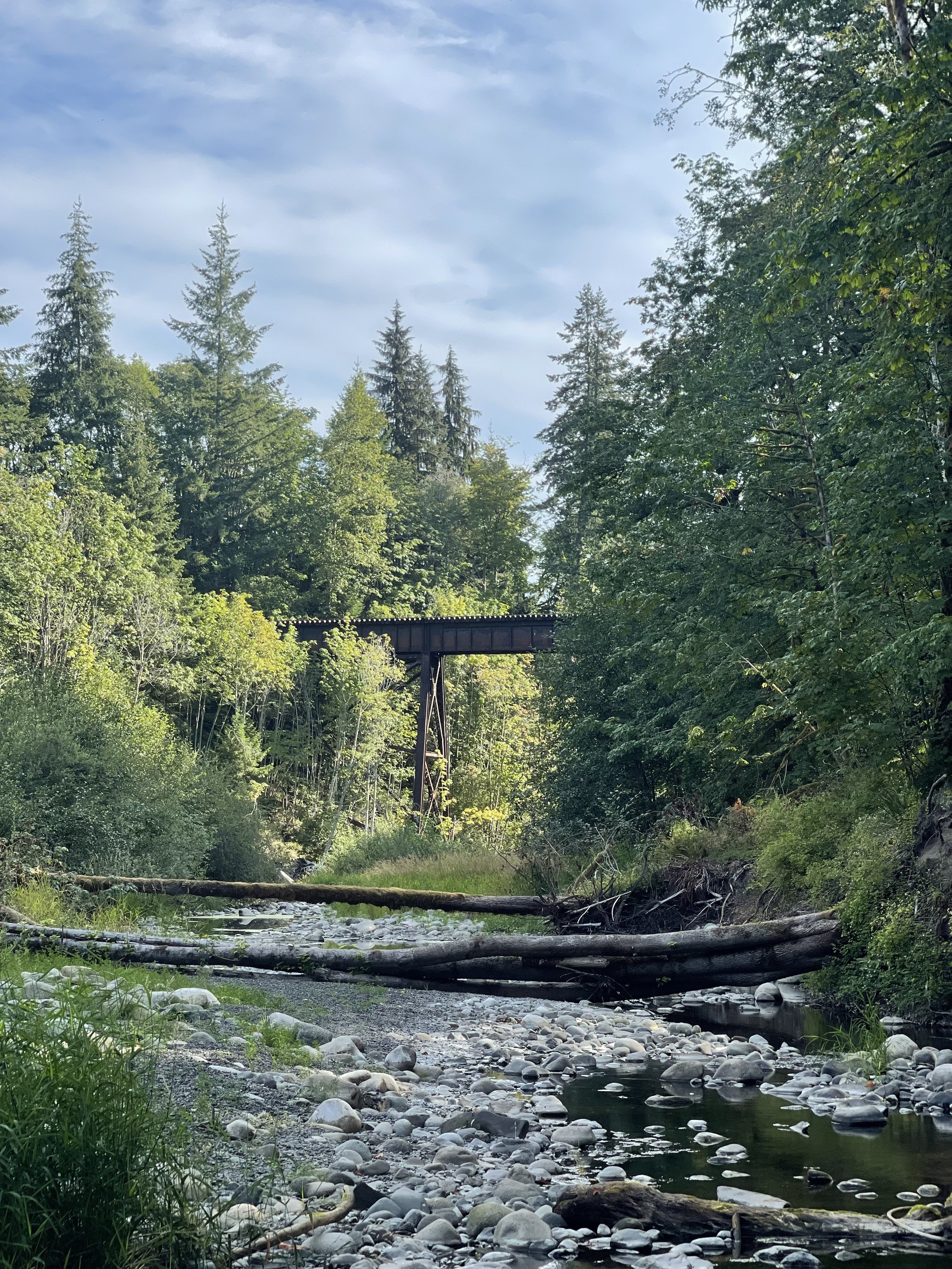 Trent river with the trestle in the background, Royston BC, Dylan Phillips Photography