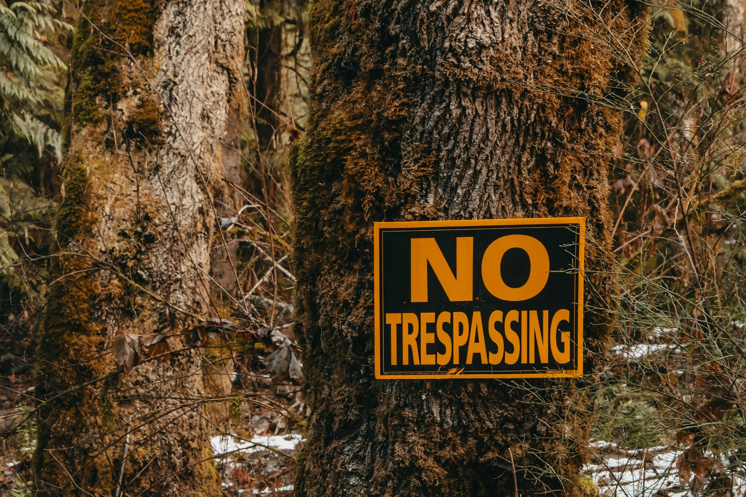 No Trespassing sign placed in the forest near Morden Colliery Historic Provincial Park, Nanaimo, Vancouver Island BC, Canada