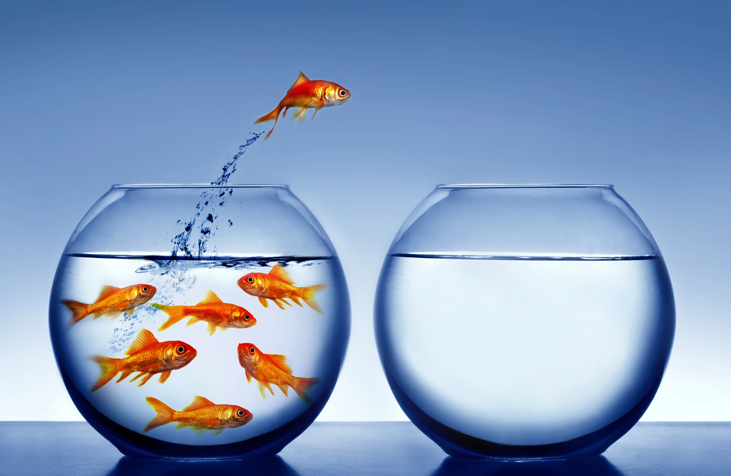 To Build a Stronger Team, Let Go of Control