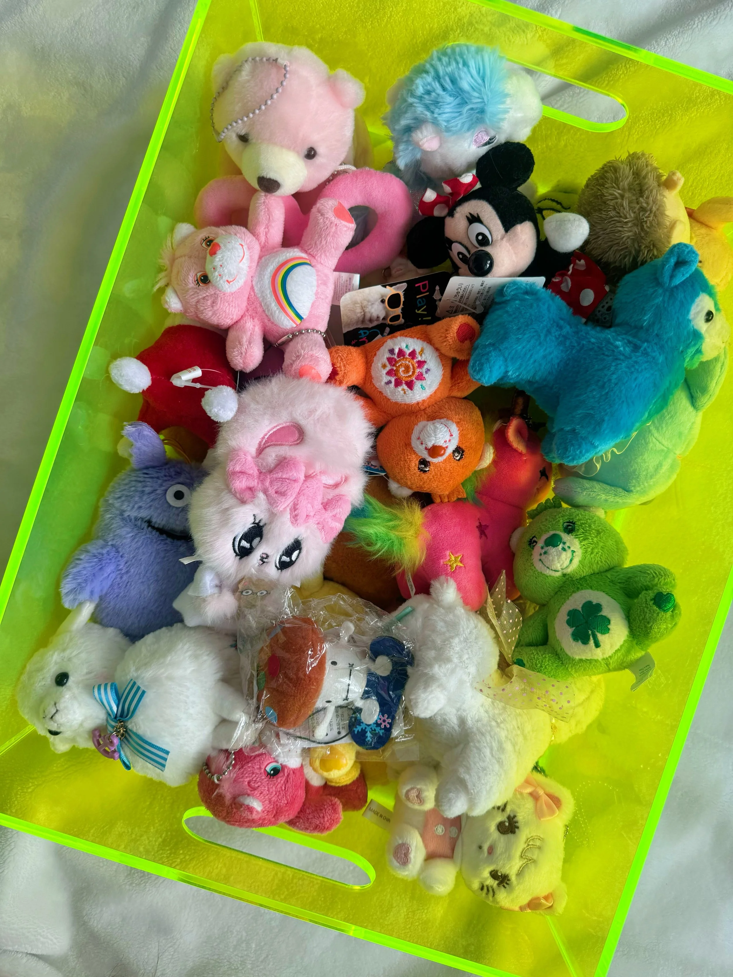 Random Plush Key Chain!