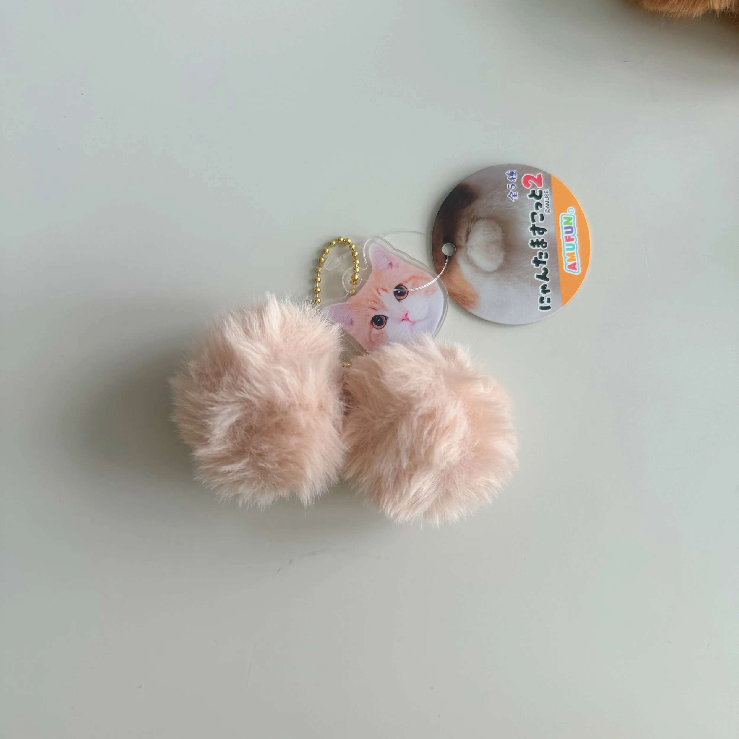 IMG_3283_VSCO.png