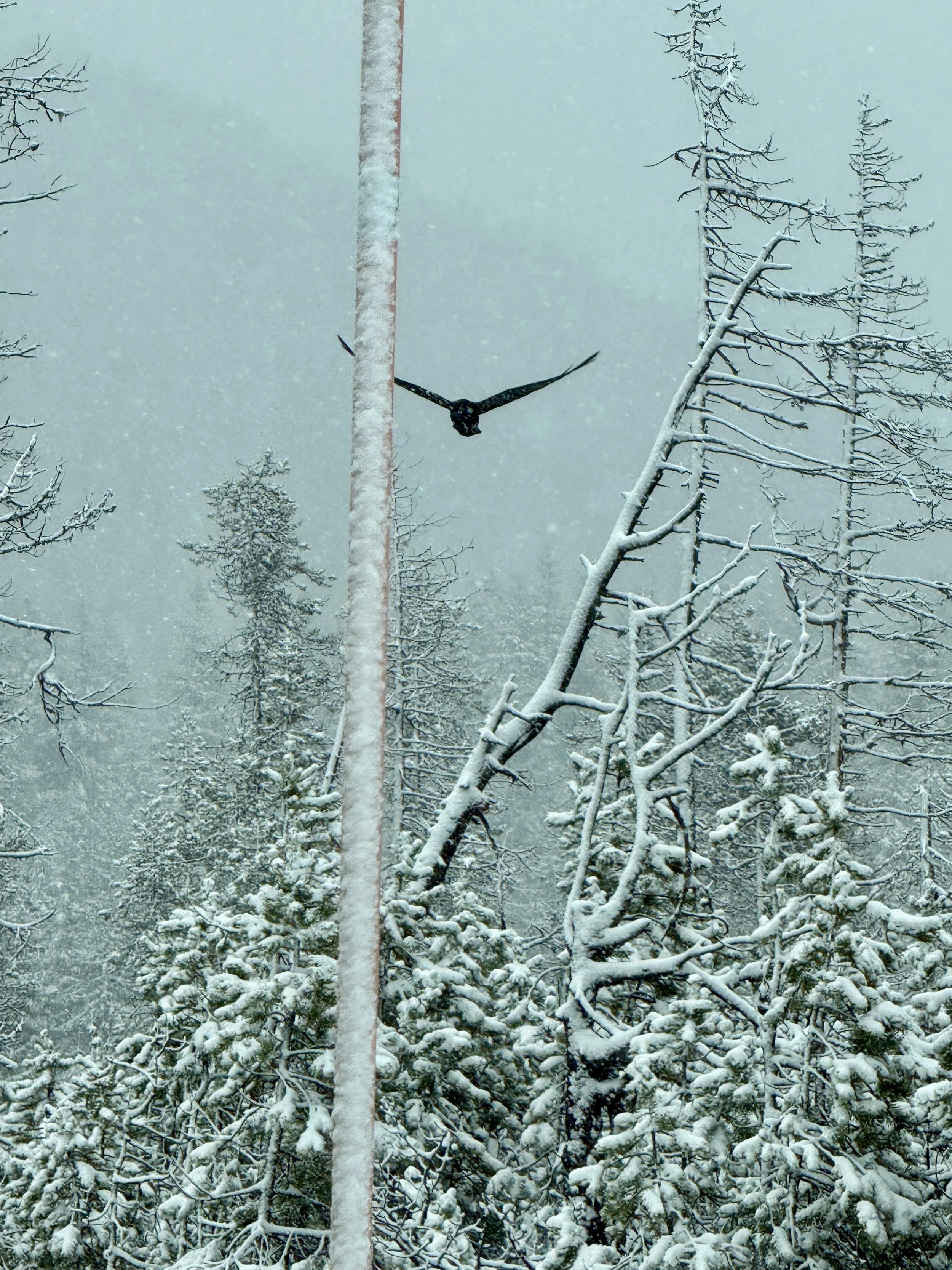 How The Winter Solstice Teaches The Power of Rest