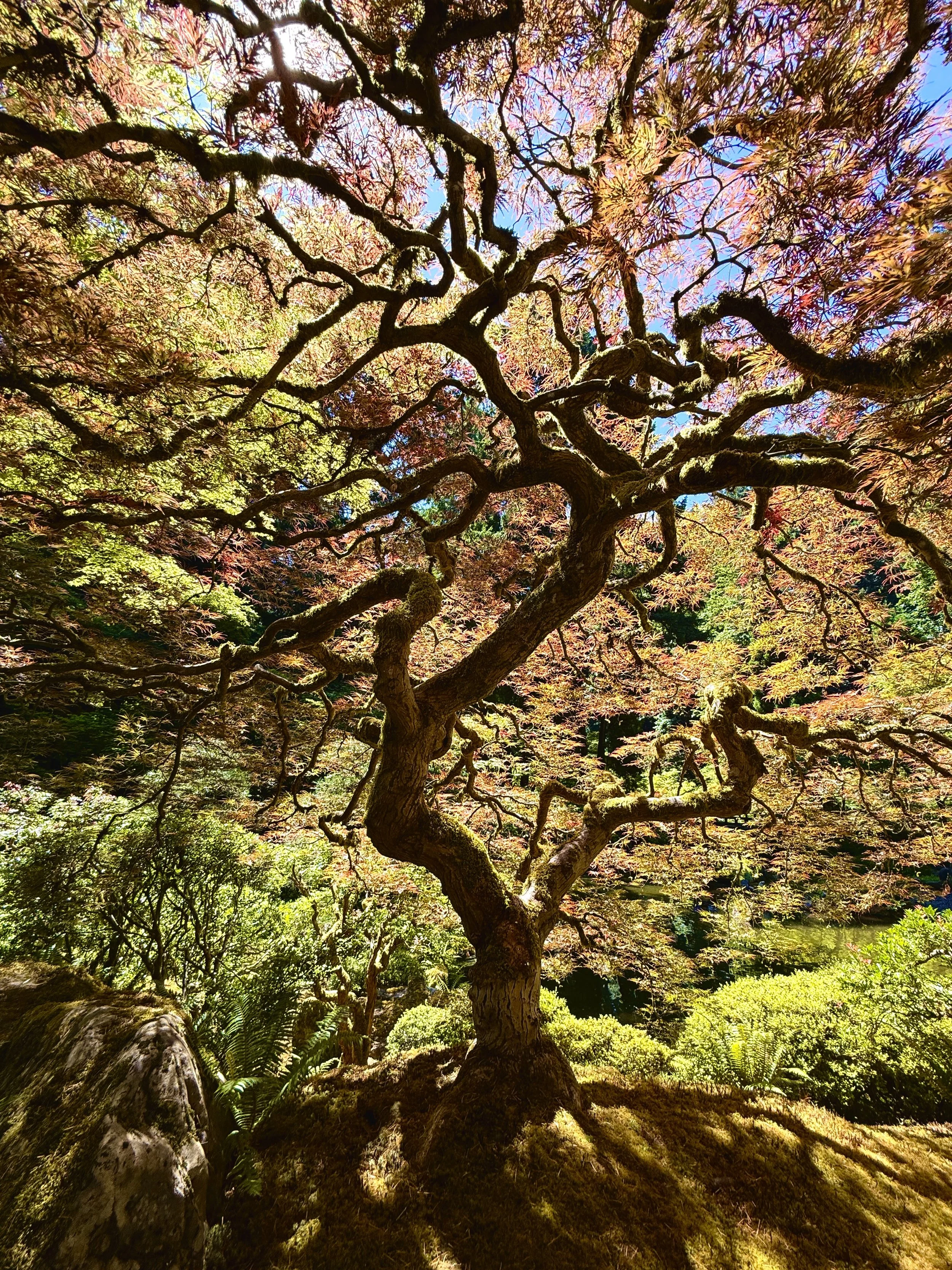 Can Acupuncture Support Fertility? What Women’s Health Experts Are Learning