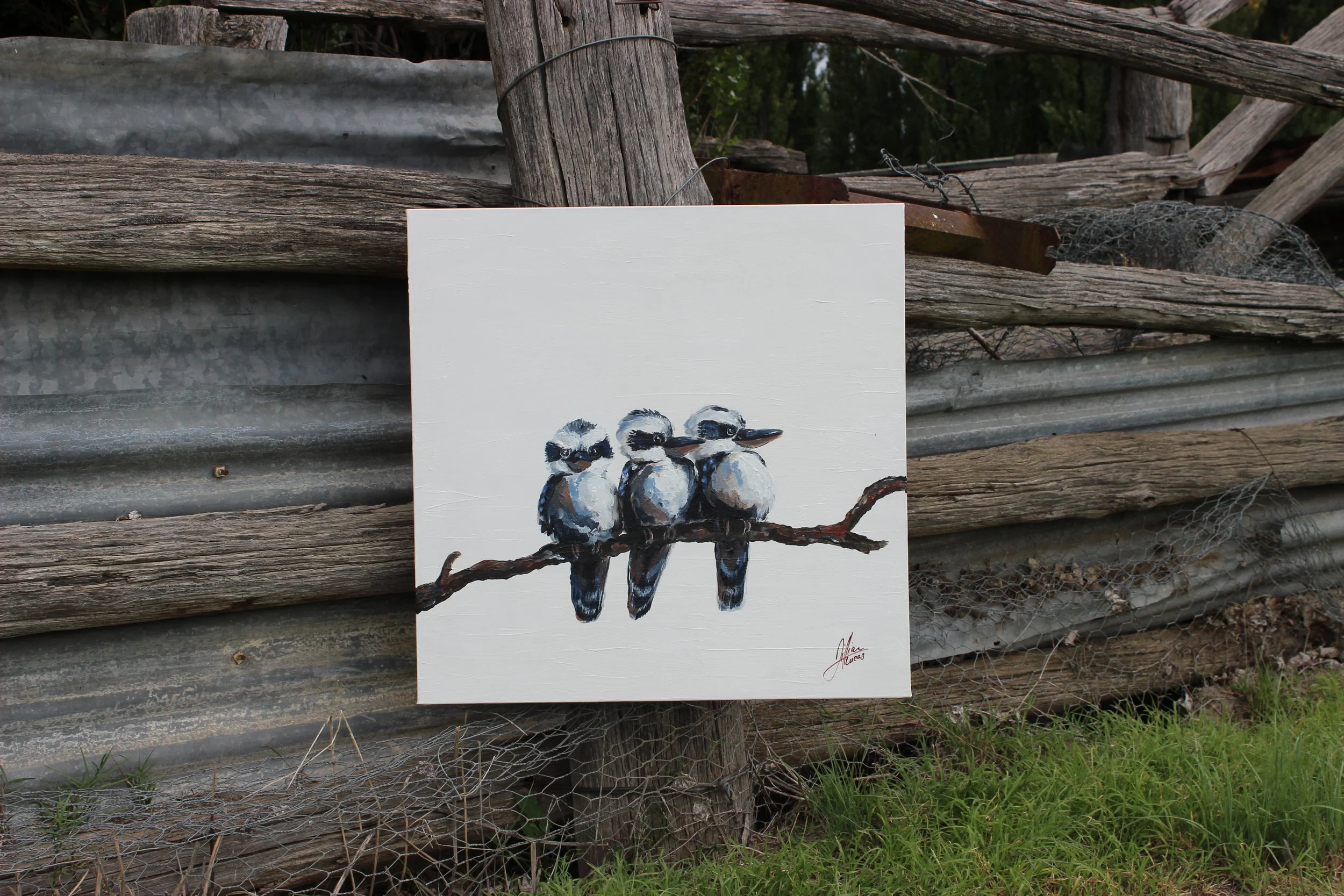 Three amigos original kookaburra painting