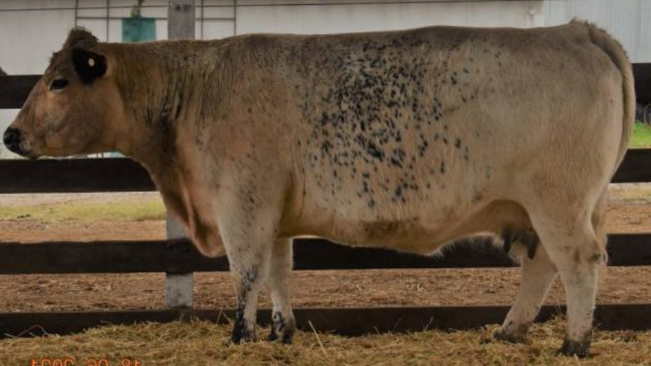 Screen Shot 2024-01-11 at 12.23.54 pm.jpg