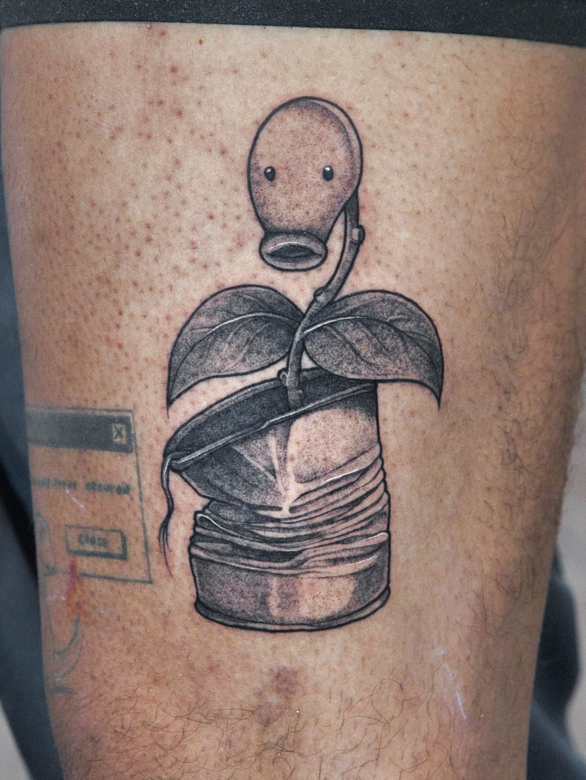 WhatsApp Image 2026-03-18 at 17.30.56 (2).jpeg