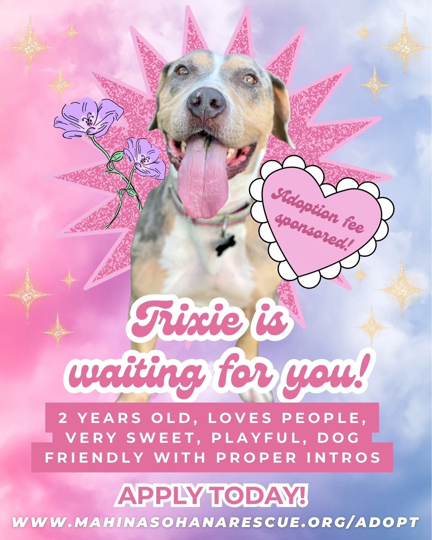 So May will mark Trixie coming up on a year with being in the rescue. Isn&rsquo;t that crazy to even think imagine?! Our goal is to hopefully find her a loving home before that so we made an eye catching poster to hang up in high traffic areas that w