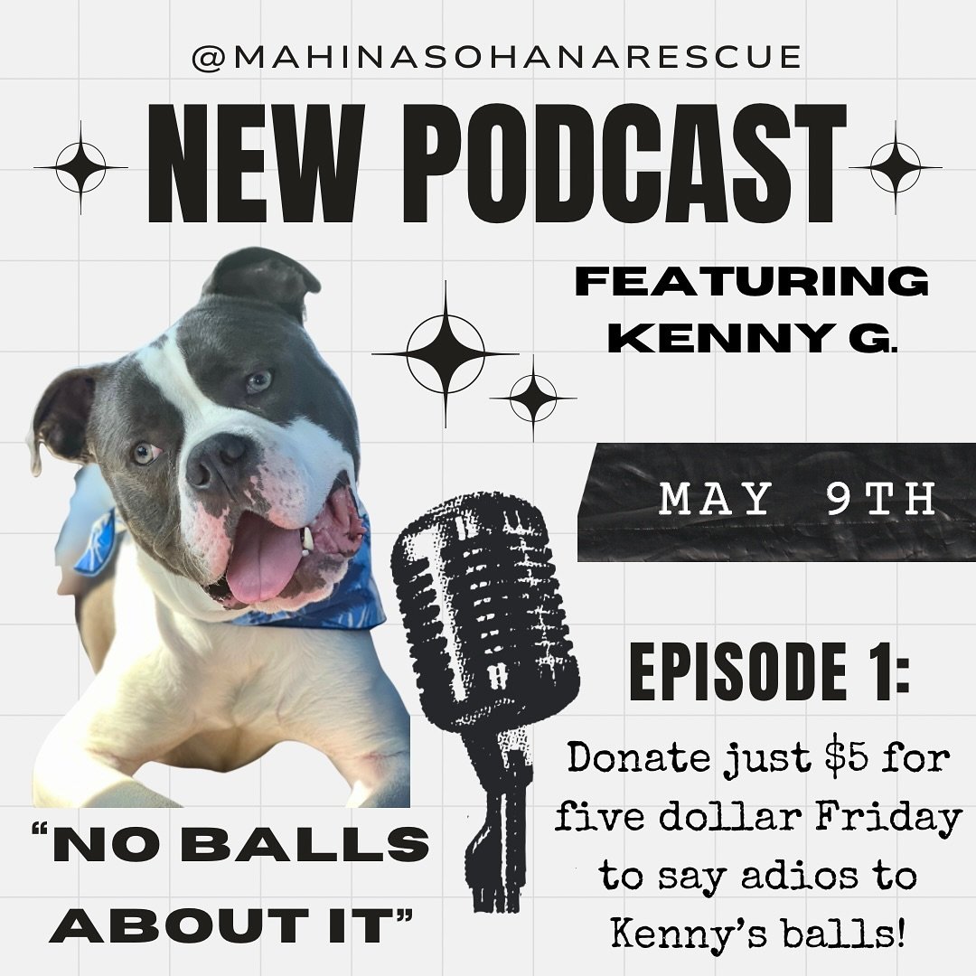 Heyyyy! 👋🏼 have you checked out Kenny&rsquo;s new podcast yet?! 🎙️It&rsquo;s called &ldquo;No Balls About It&rdquo; which stars May 9th (in 6 days)! Please consider donating just $5 for Five Dollar Friday towards Kenny&rsquo;s new podcast aka his 
